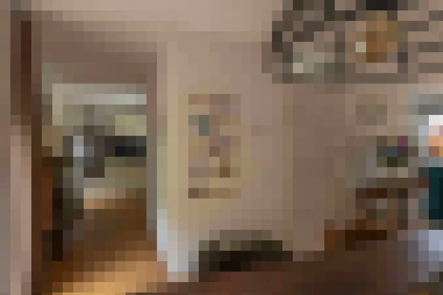 Lariksweg 15 Klarenbeek thumbnail 25