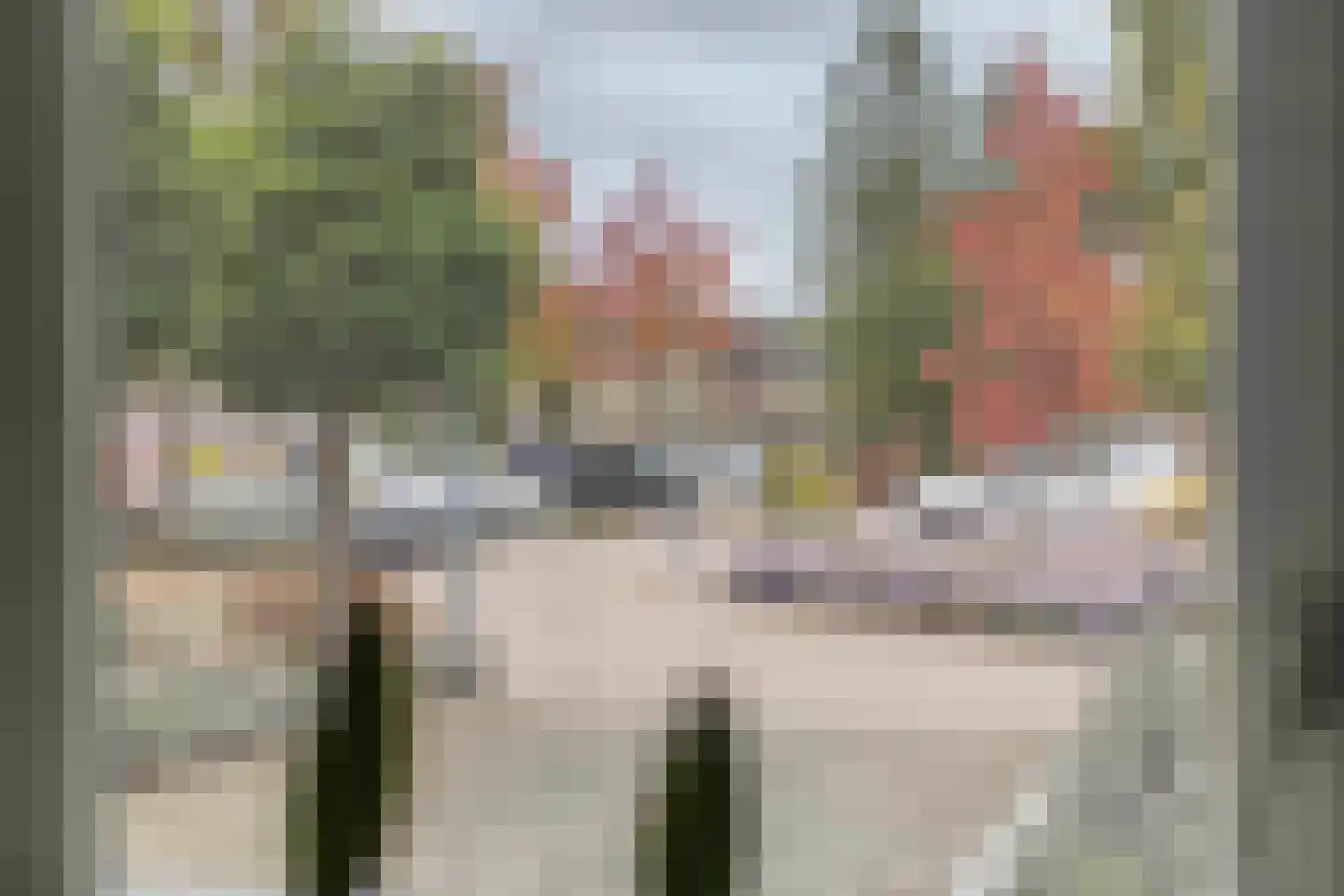 Lariksweg 15 Klarenbeek thumbnail 29