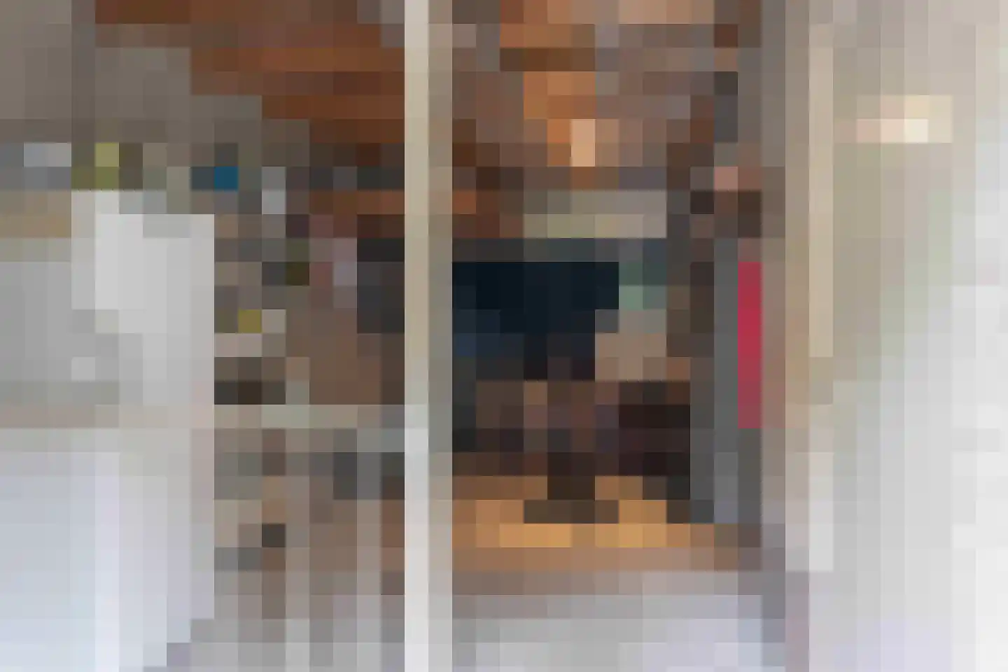 Lariksweg 15 Klarenbeek thumbnail 34