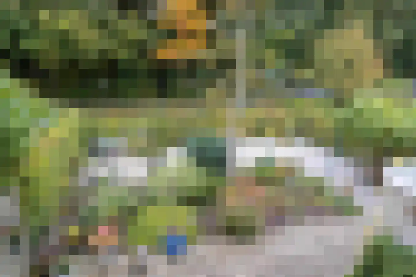 Lariksweg 15 Klarenbeek thumbnail 62