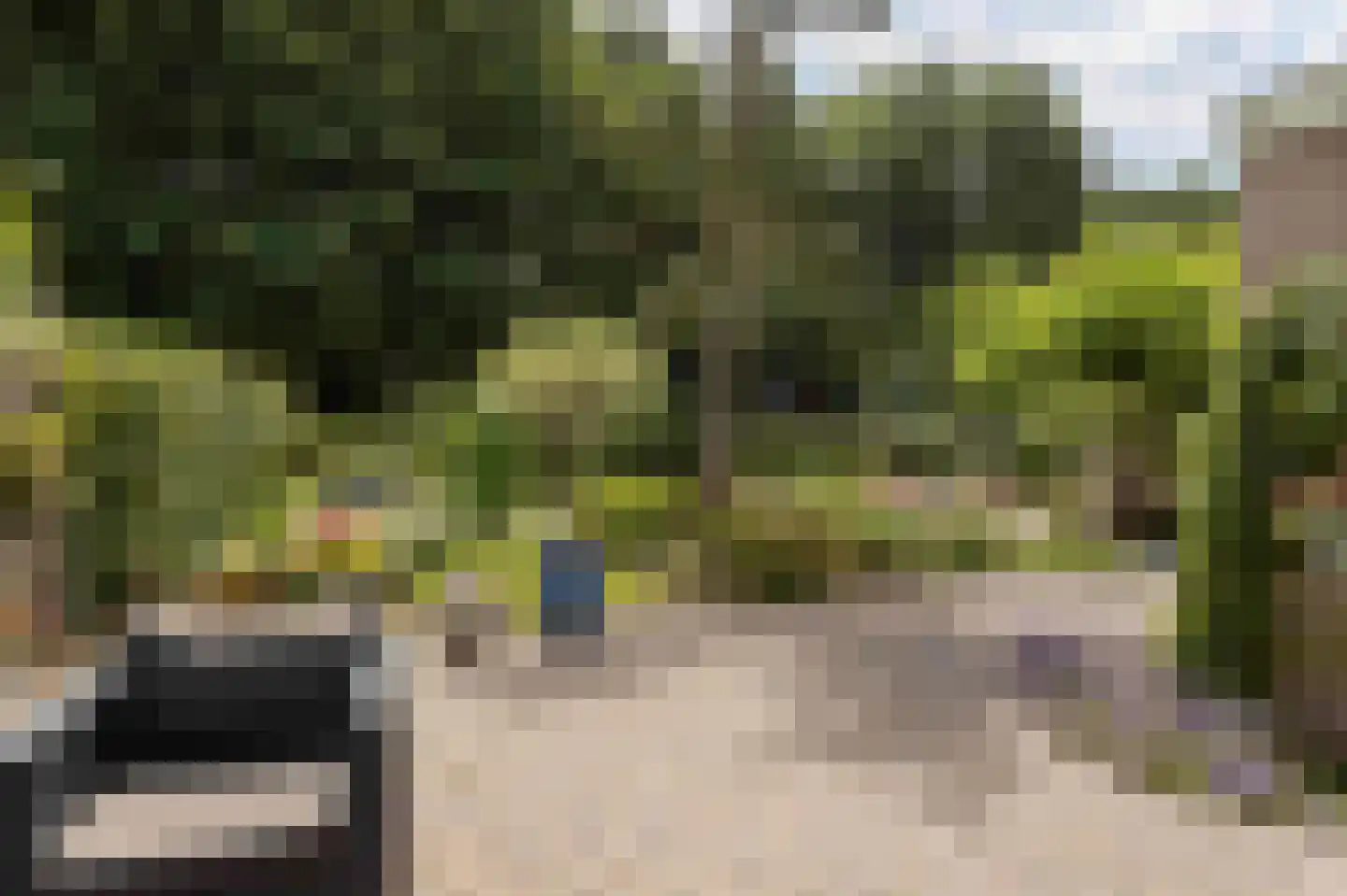 Lariksweg 15 Klarenbeek thumbnail 63