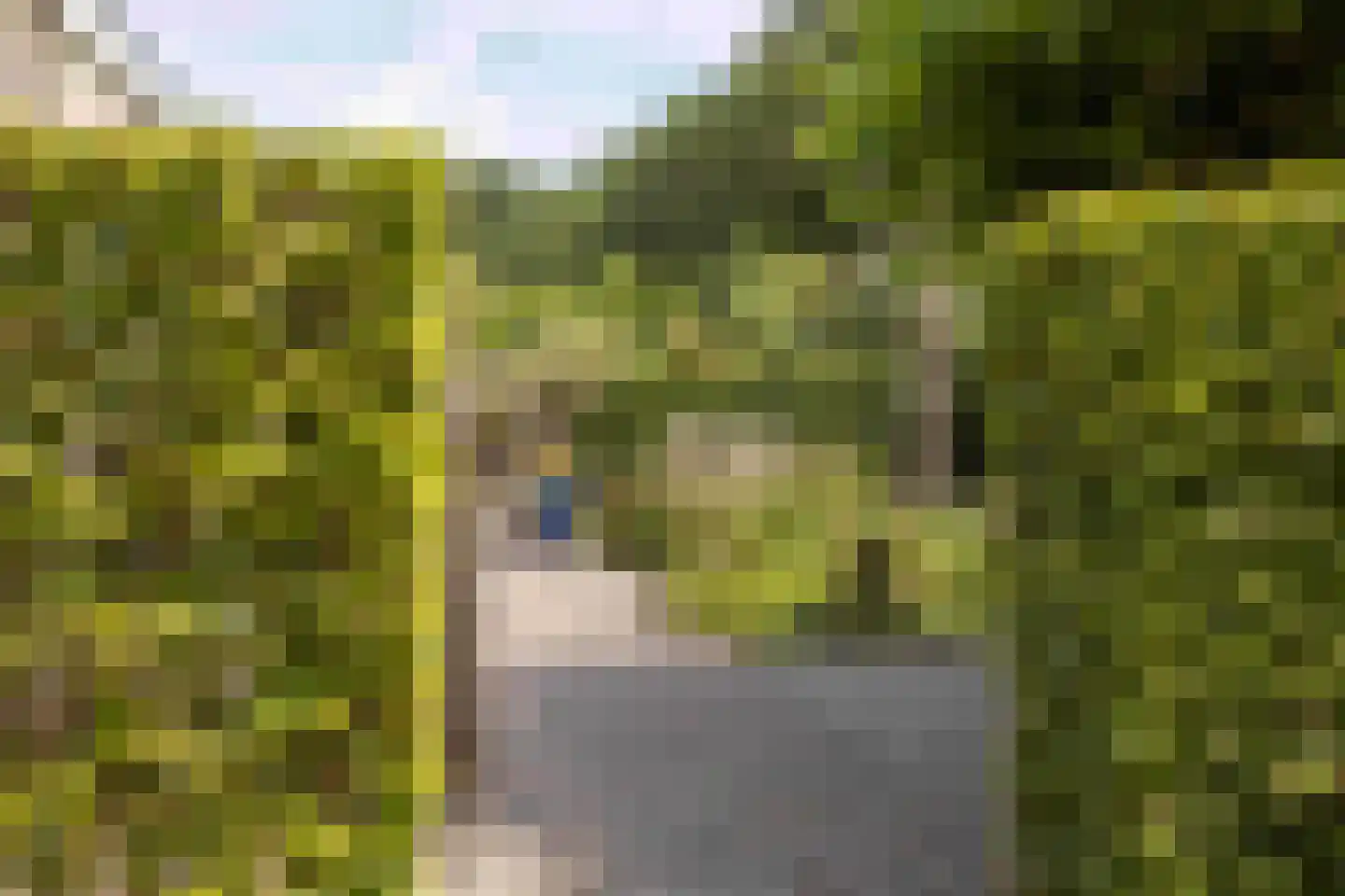 Lariksweg 15 Klarenbeek thumbnail 78