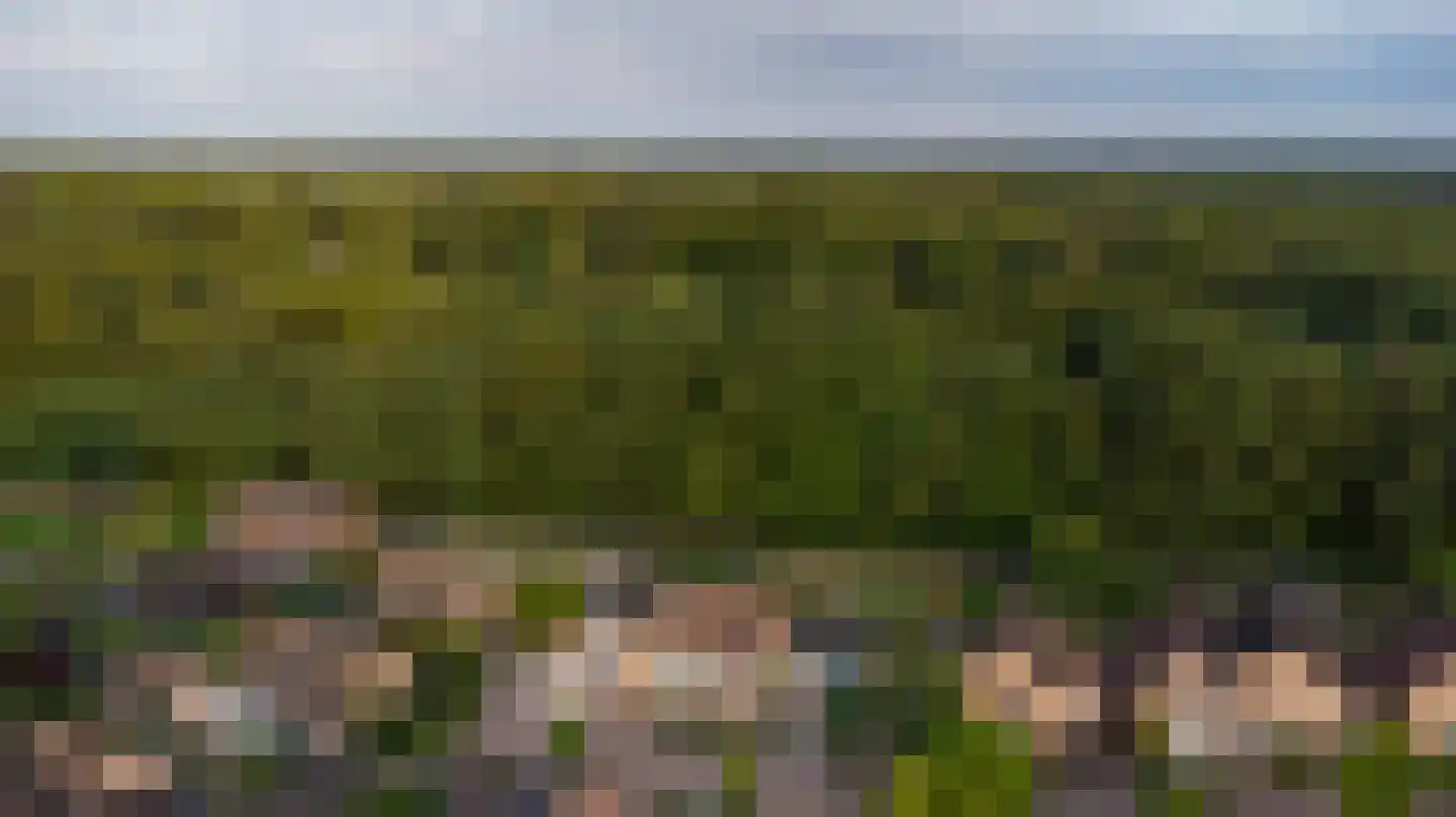 Lariksweg 15 Klarenbeek thumbnail 8