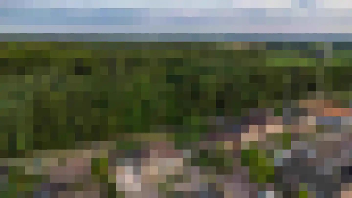 Lariksweg 15 Klarenbeek thumbnail 83