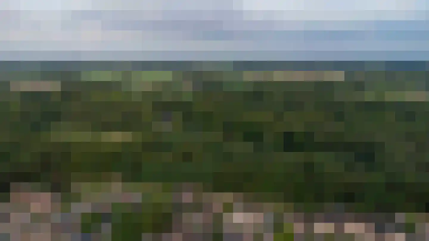 Lariksweg 15 Klarenbeek thumbnail 85