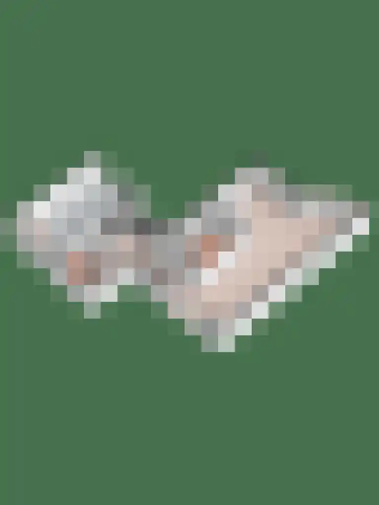 Lariksweg 15 Klarenbeek thumbnail 90