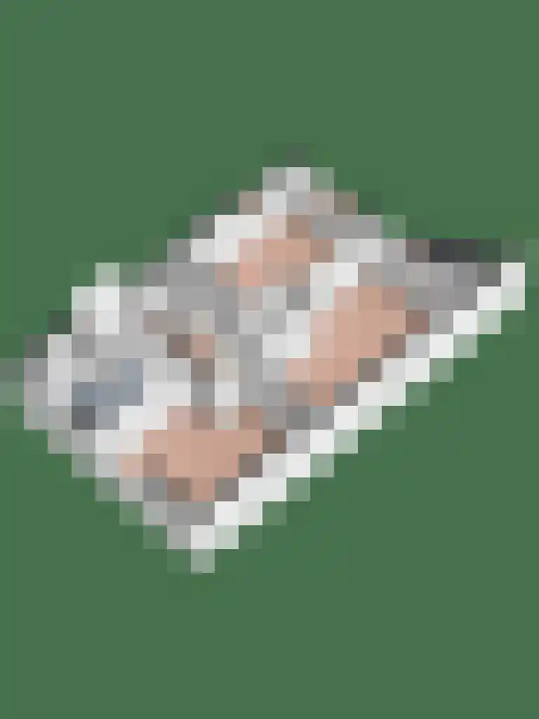 Lariksweg 15 Klarenbeek thumbnail 92
