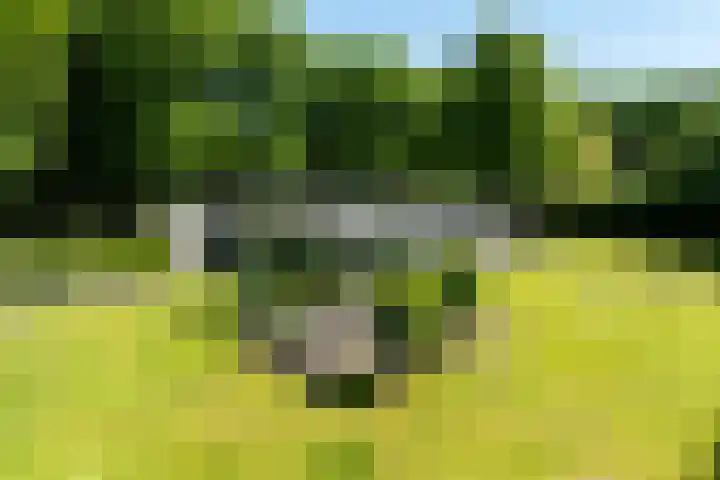 Lariksweg 16 Epe