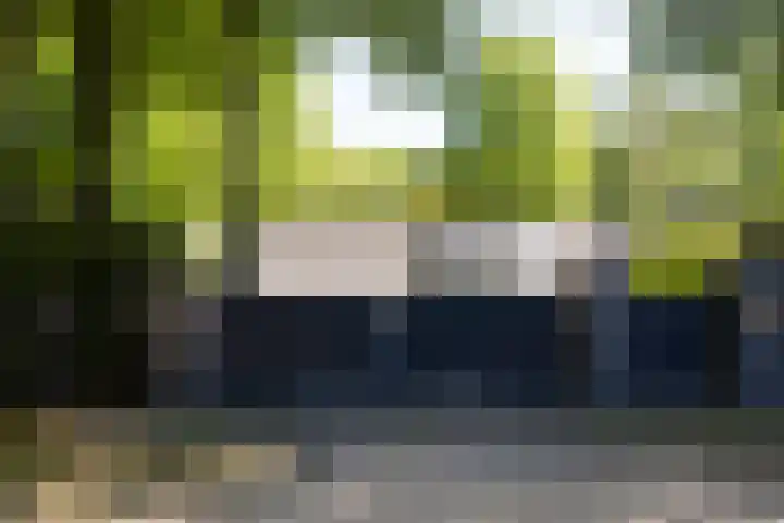 Lariksweg 16 Epe thumbnail 10