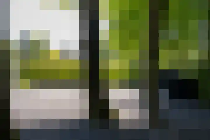 Lariksweg 16 Epe thumbnail 11