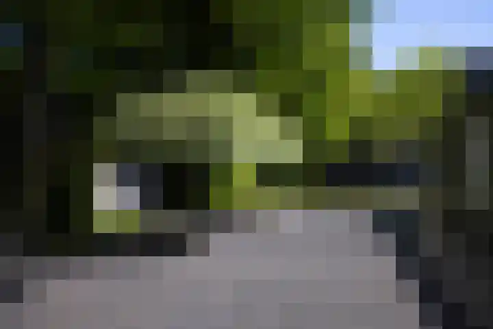 Lariksweg 16 Epe thumbnail 12