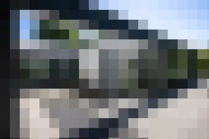 Lariksweg 16 Epe thumbnail 14