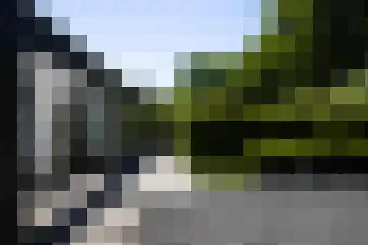 Lariksweg 16 Epe thumbnail 16