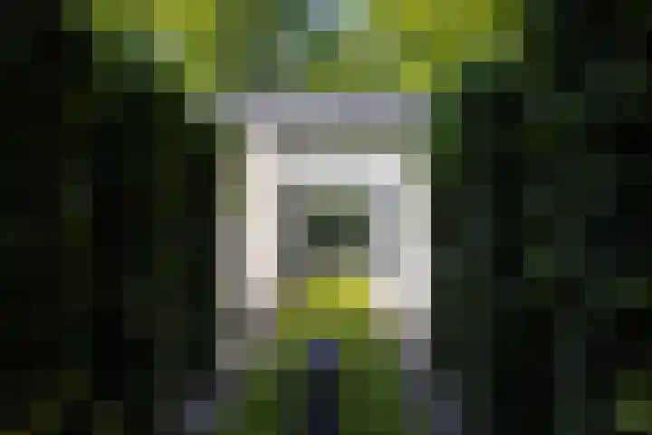 Lariksweg 16 Epe thumbnail 20