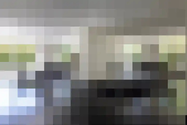 Lariksweg 16 Epe thumbnail 21