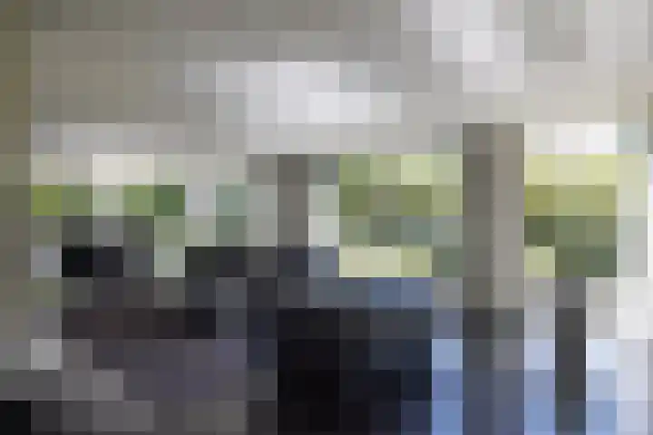 Lariksweg 16 Epe thumbnail 26