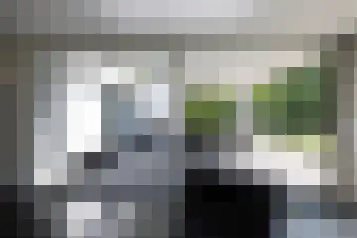 Lariksweg 16 Epe thumbnail 27
