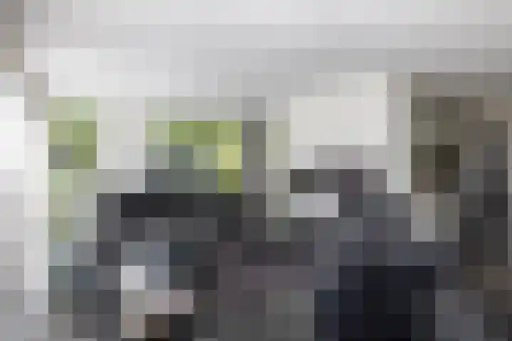 Lariksweg 16 Epe thumbnail 28