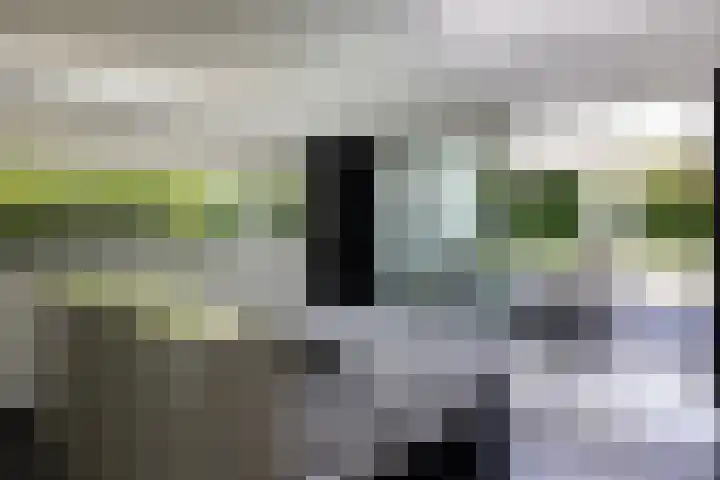 Lariksweg 16 Epe thumbnail 30