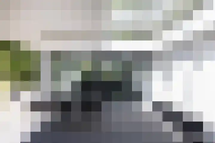 Lariksweg 16 Epe thumbnail 32