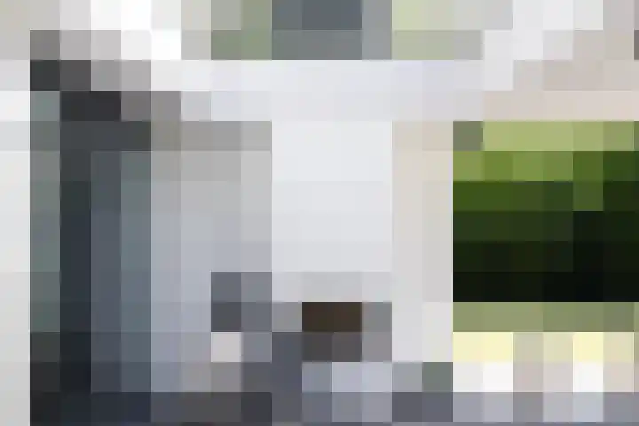 Lariksweg 16 Epe thumbnail 33