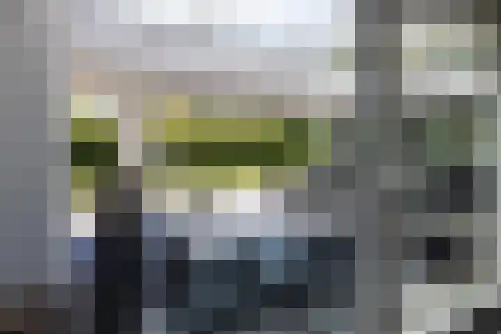 Lariksweg 16 Epe thumbnail 34