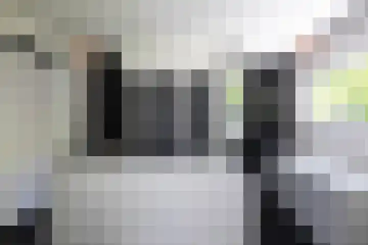 Lariksweg 16 Epe thumbnail 35