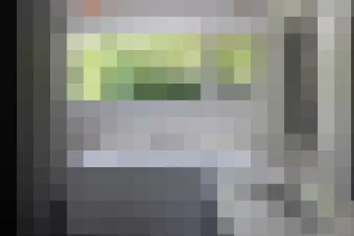 Lariksweg 16 Epe thumbnail 36
