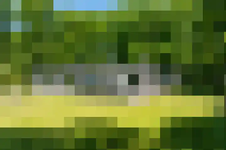 Lariksweg 16 Epe thumbnail 4