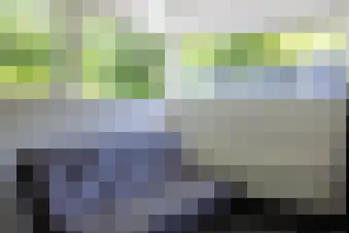 Lariksweg 16 Epe thumbnail 45