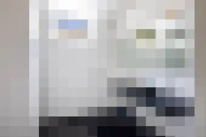 Lariksweg 16 Epe thumbnail 46