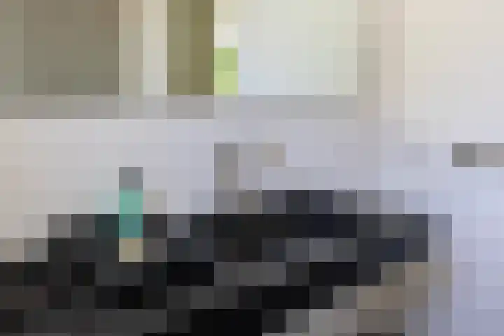 Lariksweg 16 Epe thumbnail 47