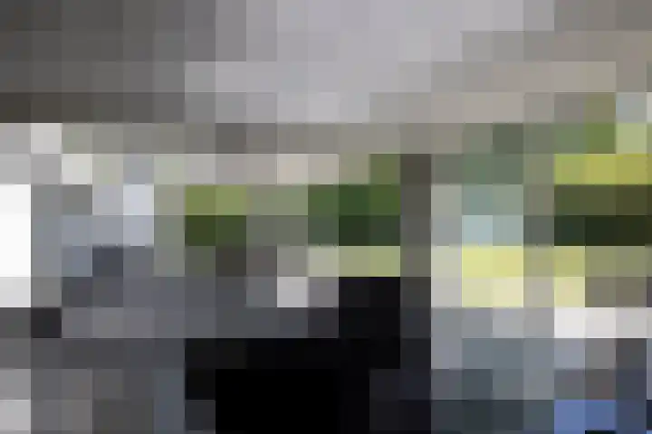 Lariksweg 16 Epe thumbnail 5