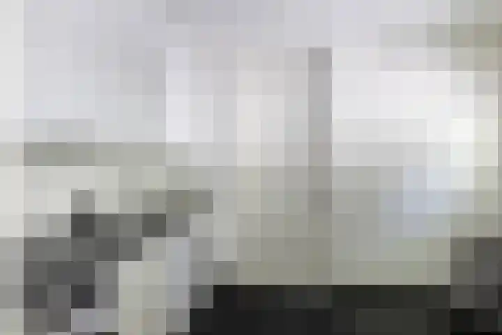 Lariksweg 16 Epe thumbnail 51
