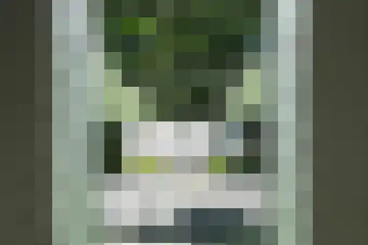 Lariksweg 16 Epe thumbnail 53