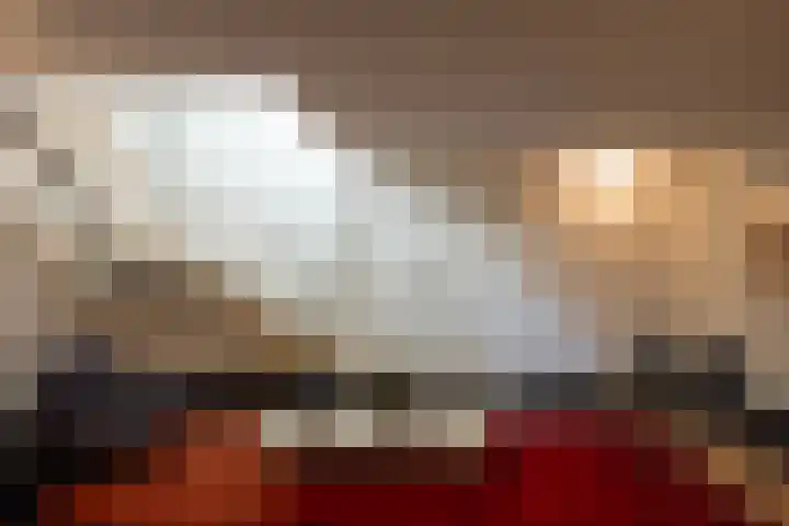 Lariksweg 16 Epe thumbnail 55