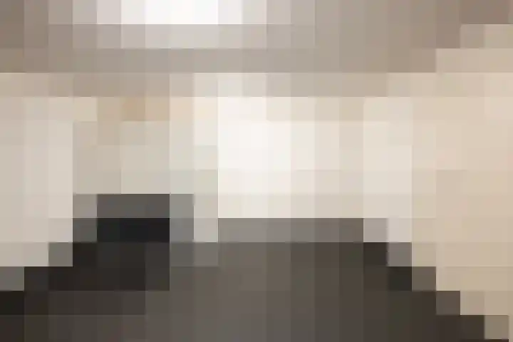 Lariksweg 16 Epe thumbnail 58
