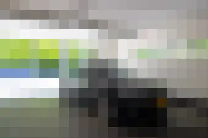 Lariksweg 16 Epe thumbnail 60