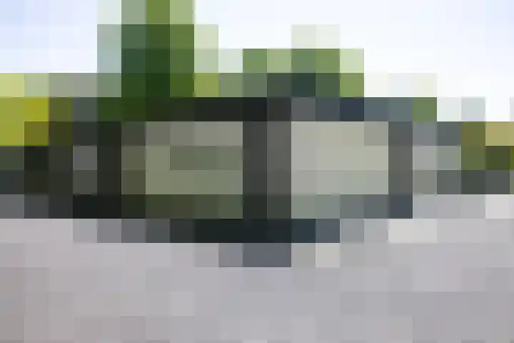 Lariksweg 16 Epe thumbnail 61