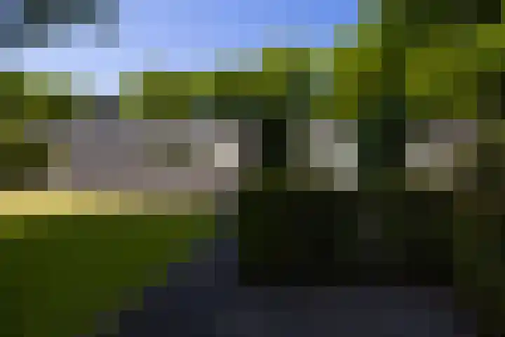 Lariksweg 16 Epe thumbnail 63