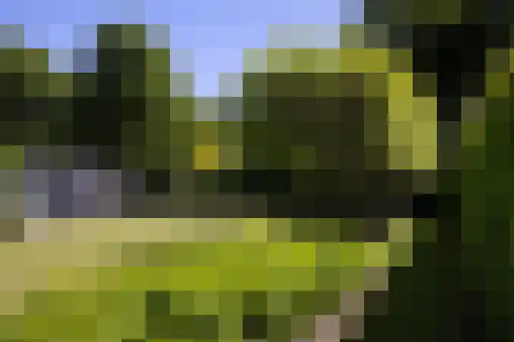 Lariksweg 16 Epe thumbnail 64