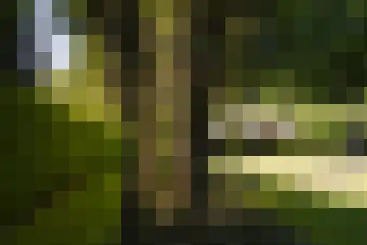 Lariksweg 16 Epe thumbnail 66