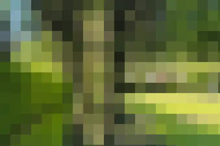 Lariksweg 16 Epe thumbnail 67