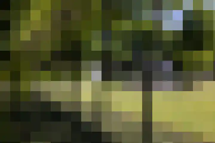 Lariksweg 16 Epe thumbnail 68