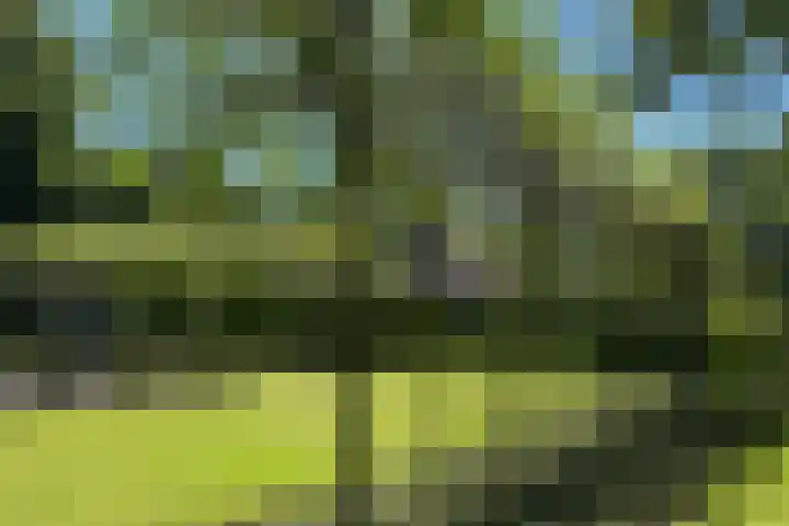 Lariksweg 16 Epe thumbnail 69