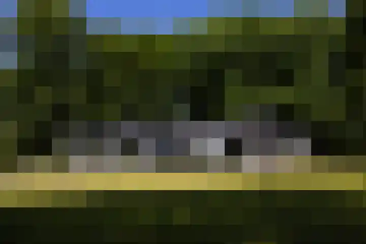 Lariksweg 16 Epe thumbnail 7