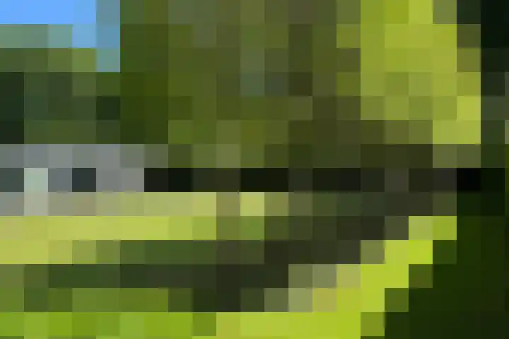 Lariksweg 16 Epe thumbnail 70