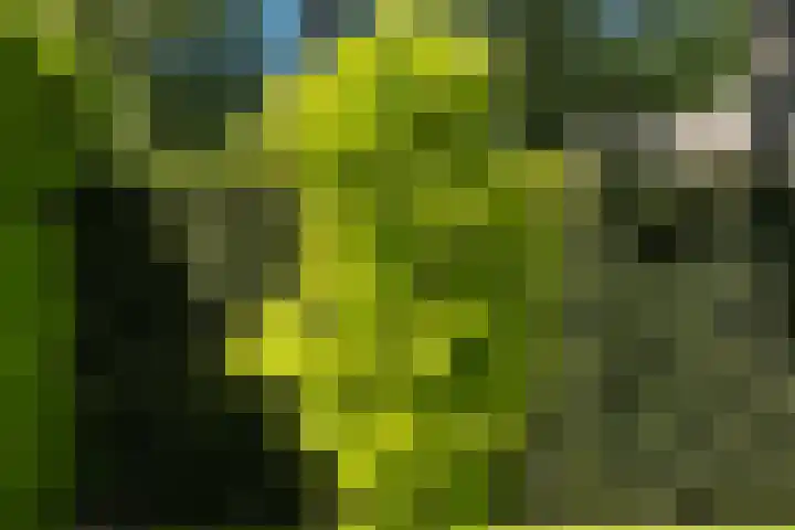 Lariksweg 16 Epe thumbnail 71