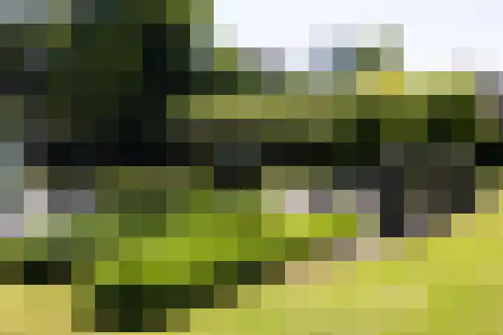 Lariksweg 16 Epe thumbnail 72