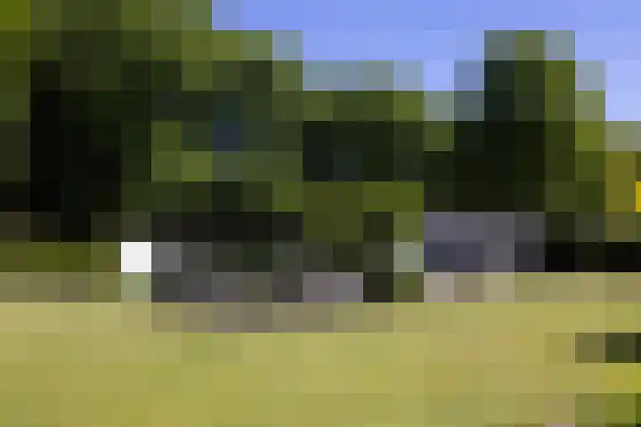 Lariksweg 16 Epe thumbnail 73